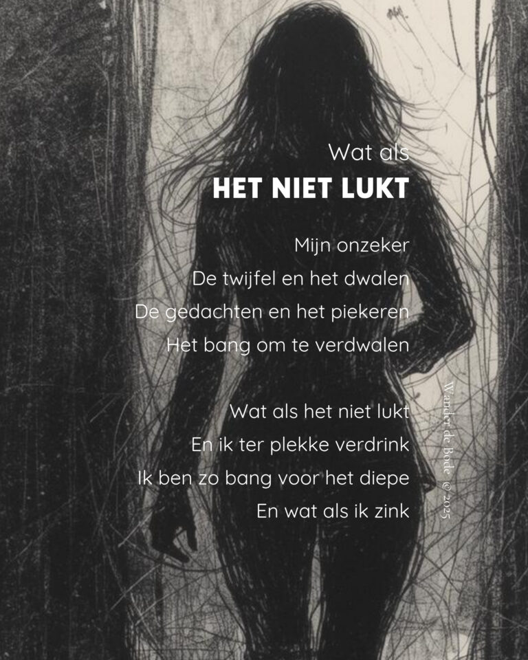Gedicht - Wat als het niet lukt