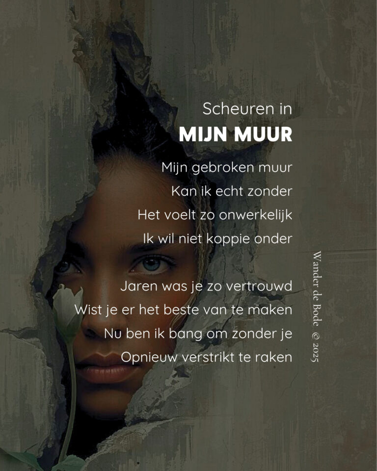 Gedicht - Scheuren in mijn muur